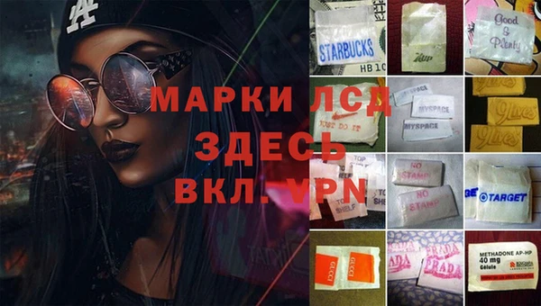 молекула духа Алзамай