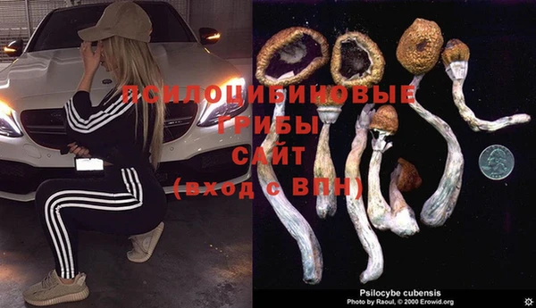 меф Алексин